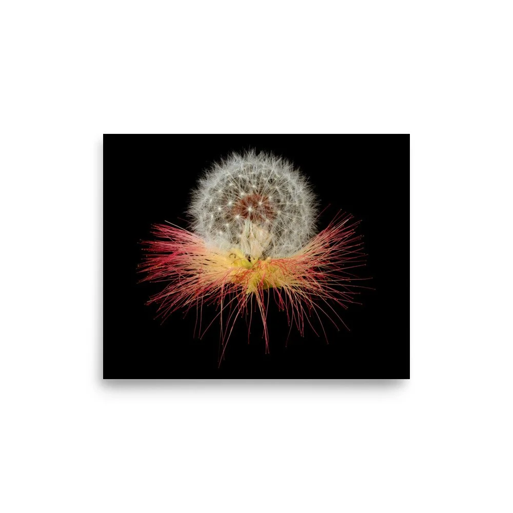 enhanced-matte-paper-poster-(in)-8x10-front-6a88611bc2490.jpg