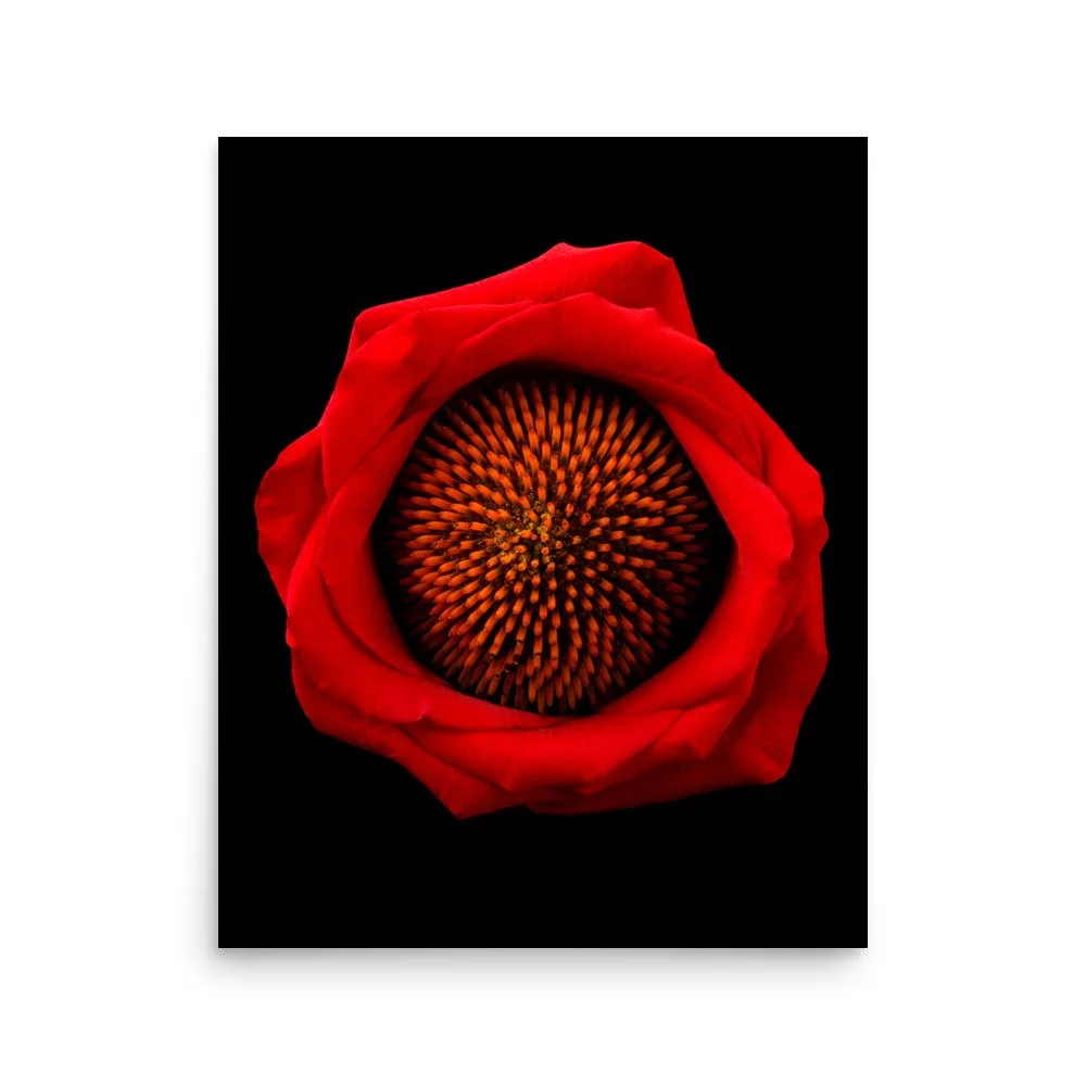 enhanced-matte-paper-poster-(in)-16x20-front-6a8869fa5679b.jpg