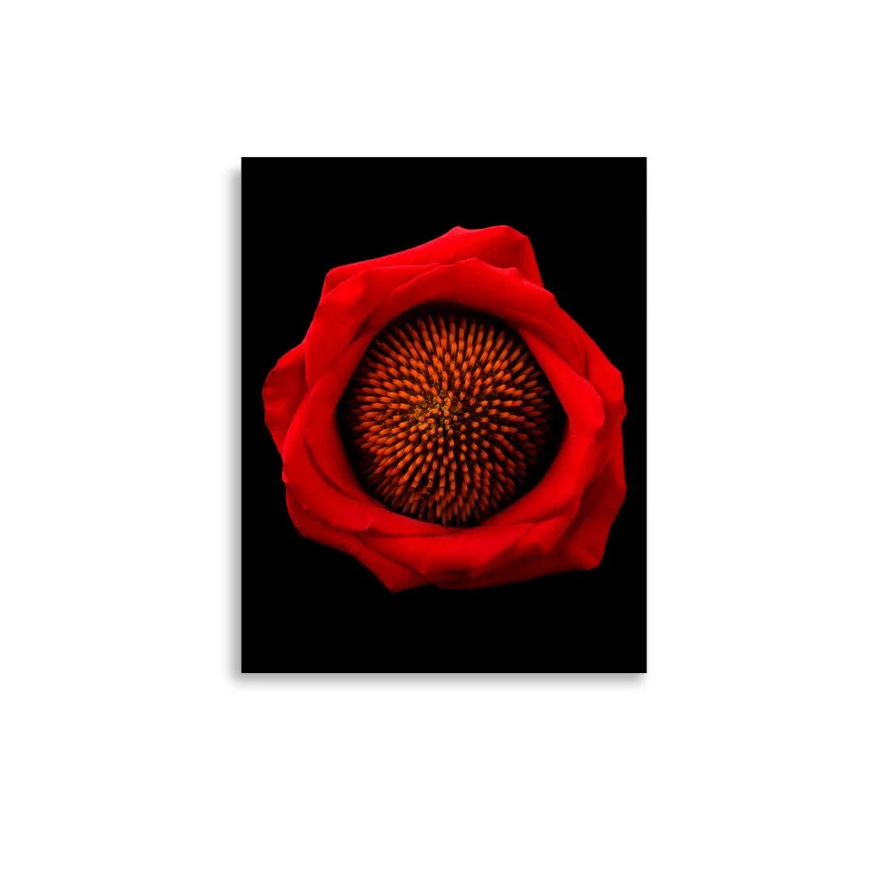enhanced-matte-paper-poster-(in)-11x14-front-6a8869fa574f6.jpg