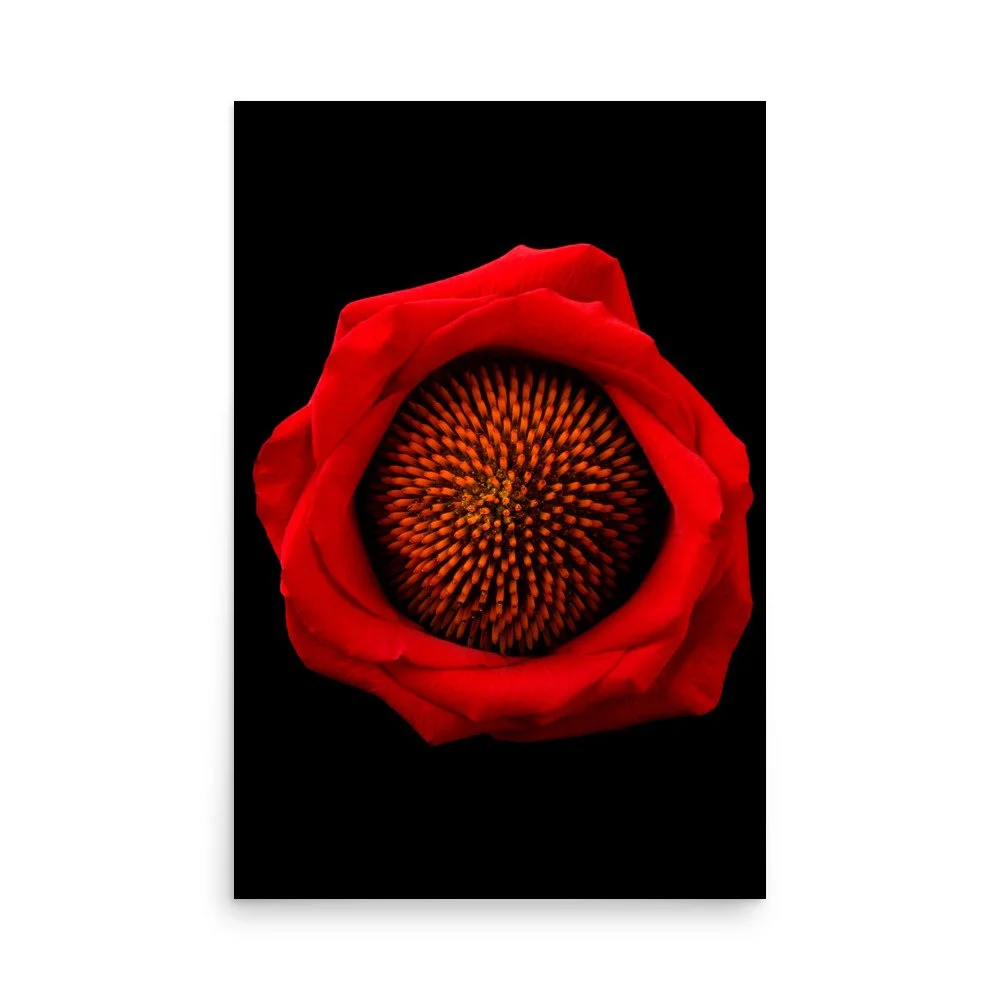 enhanced-matte-paper-poster-(in)-24x36-front-6a8869fa57575.jpg