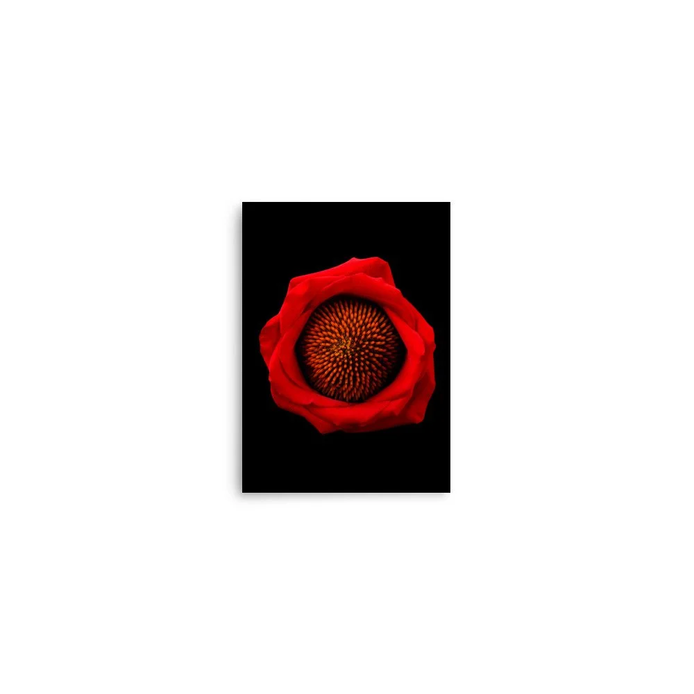 enhanced-matte-paper-poster-(in)-5x7-front-6a8869fa575d8.jpg