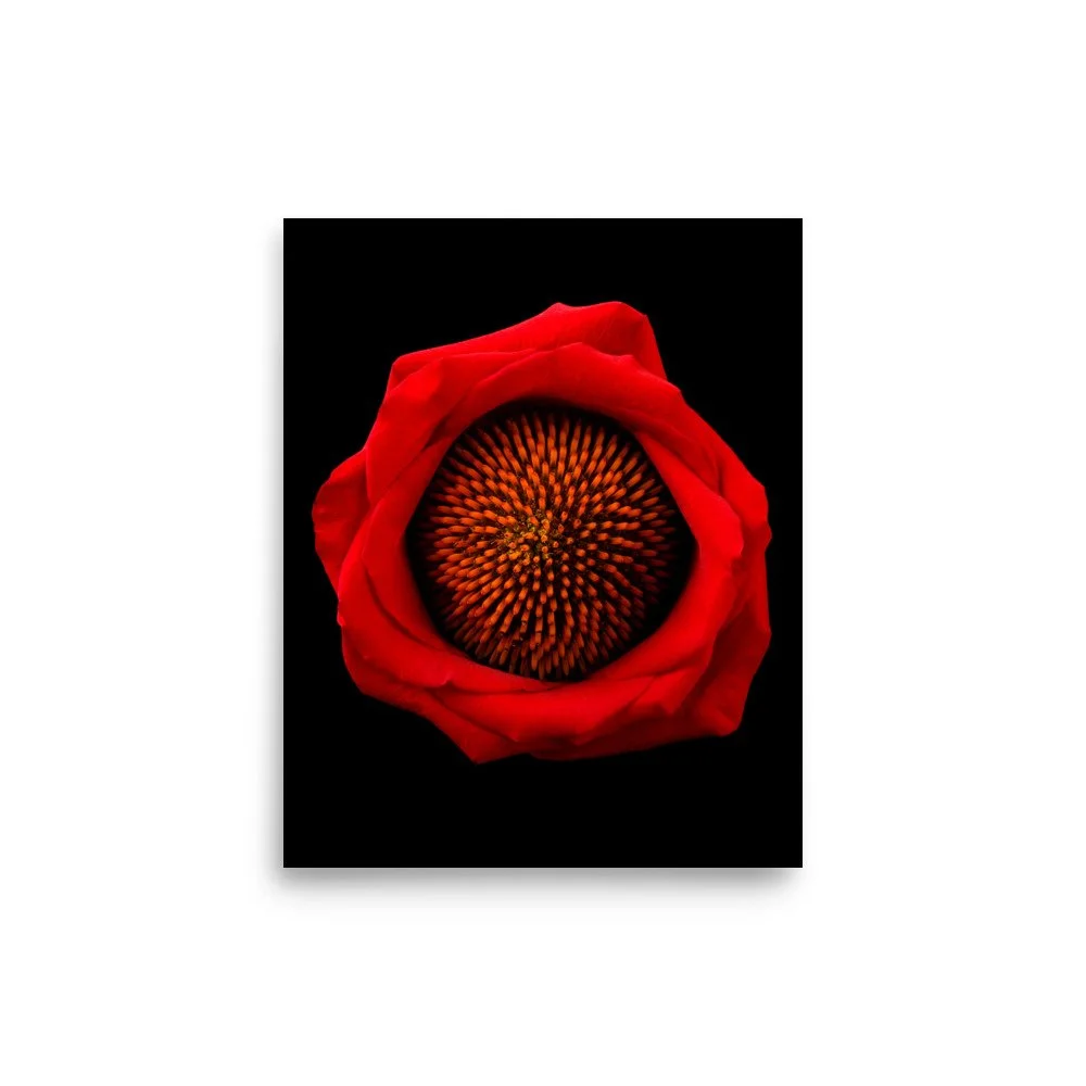 enhanced-matte-paper-poster-(in)-8x10-front-6a8869fa5760d.jpg