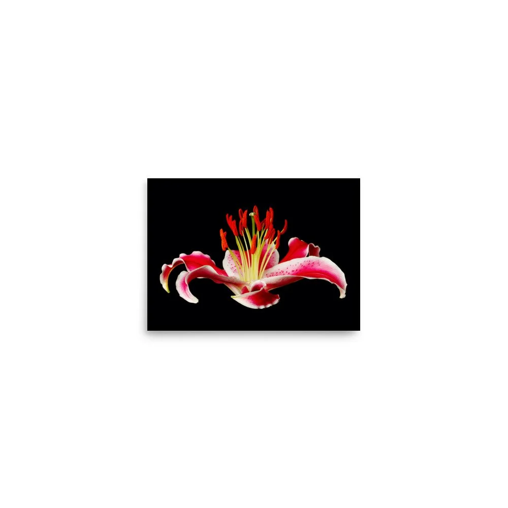 enhanced-matte-paper-poster-(in)-5x7-front-6a887b8aa172c.jpg