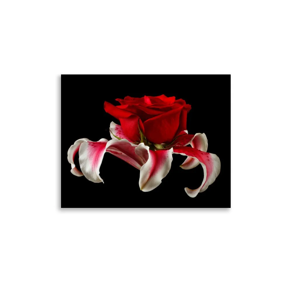 enhanced-matte-paper-poster-(in)-11x14-front-6a88b4630398a.jpg