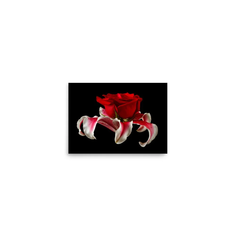 enhanced-matte-paper-poster-(in)-5x7-front-6a88b46303a89.jpg