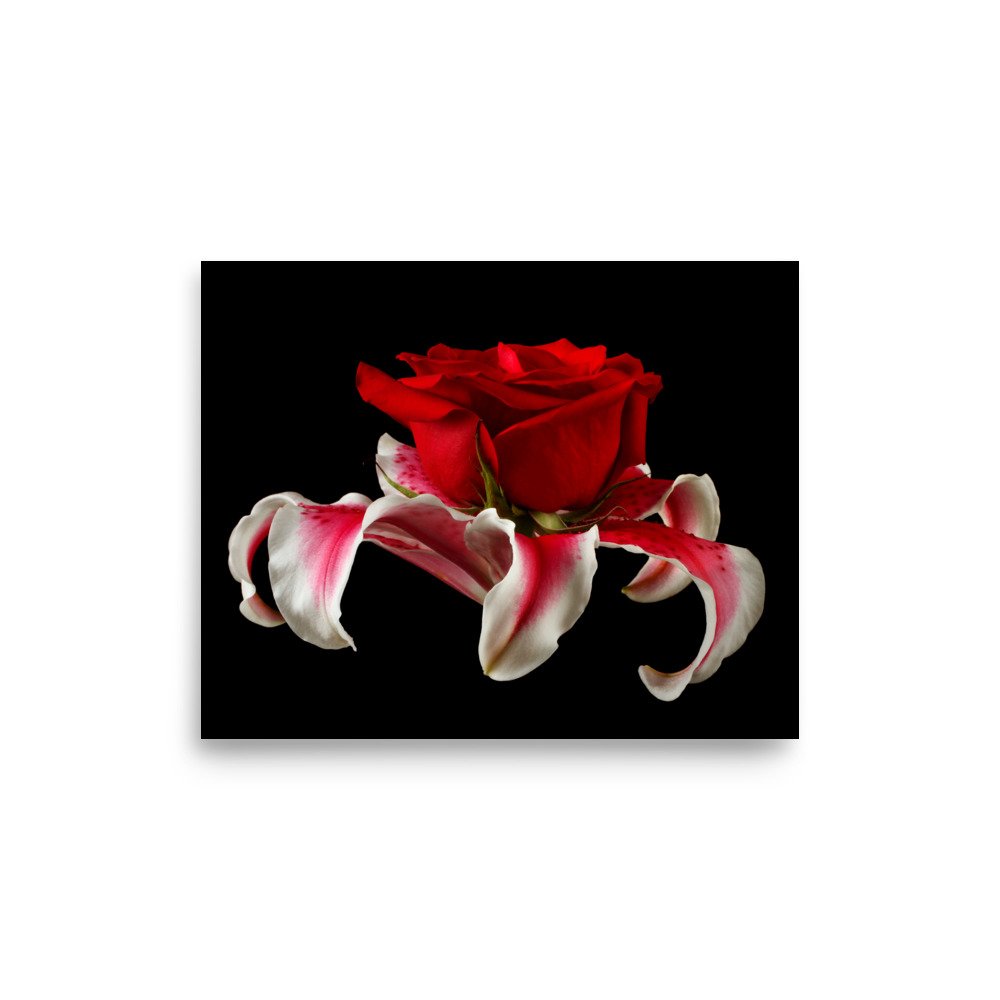 enhanced-matte-paper-poster-(in)-8x10-front-6a88b46303ac7.jpg