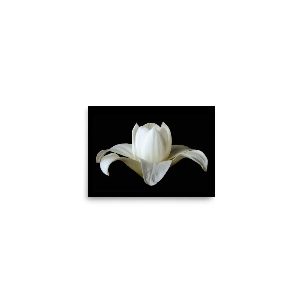 enhanced-matte-paper-poster-(in)-5x7-front-6a88ba9e2b2d8.jpg