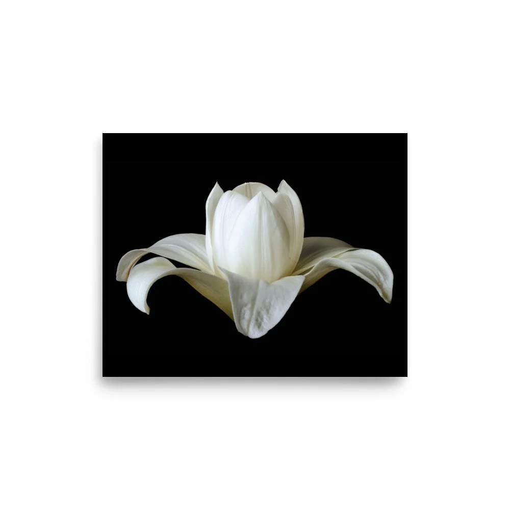 enhanced-matte-paper-poster-(in)-8x10-front-6a88ba9e2b31f.jpg
