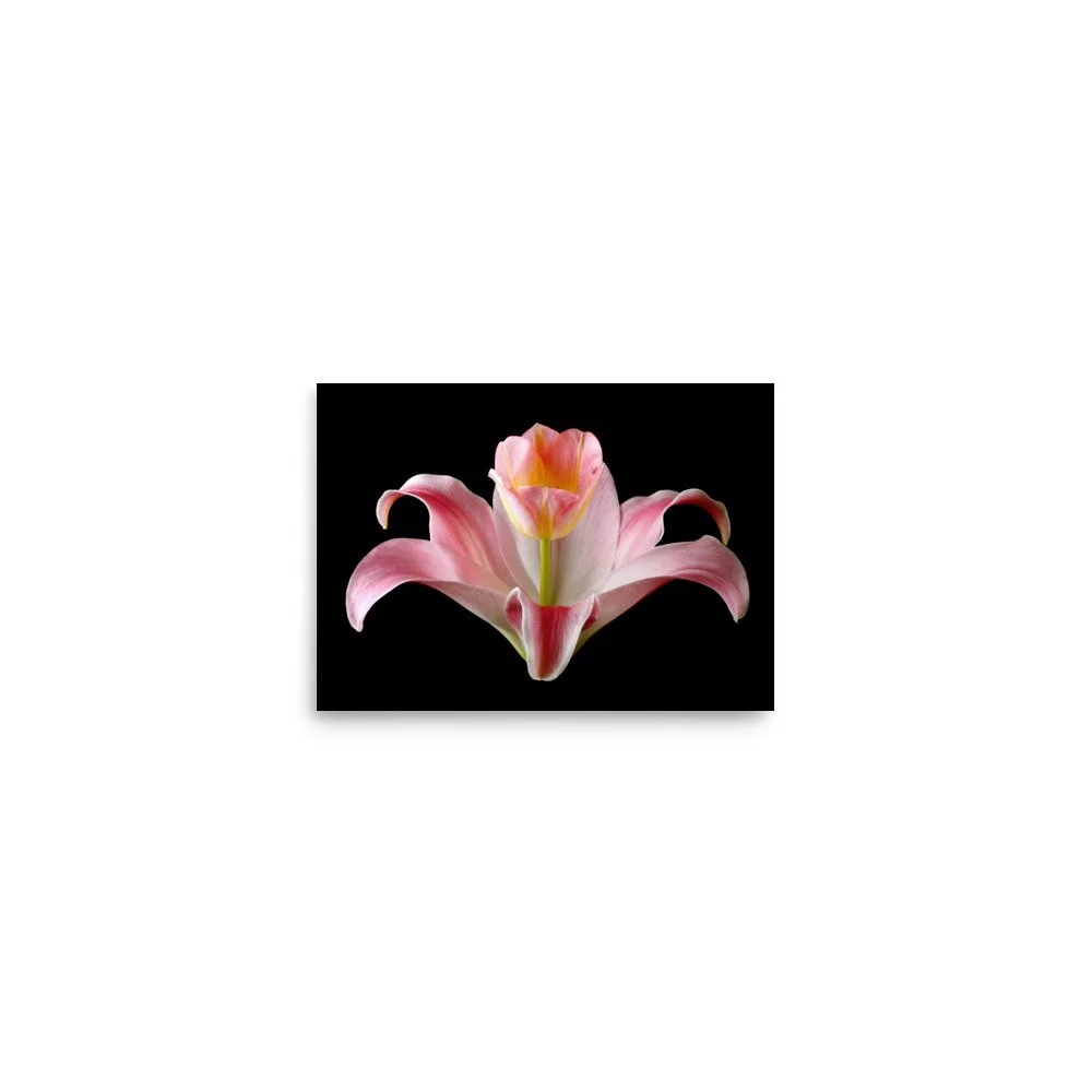 enhanced-matte-paper-poster-(in)-5x7-front-6a88ed0880e90.jpg