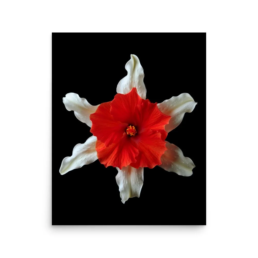 enhanced-matte-paper-poster-(in)-16x20-front-6a89aba01fe3e.jpg