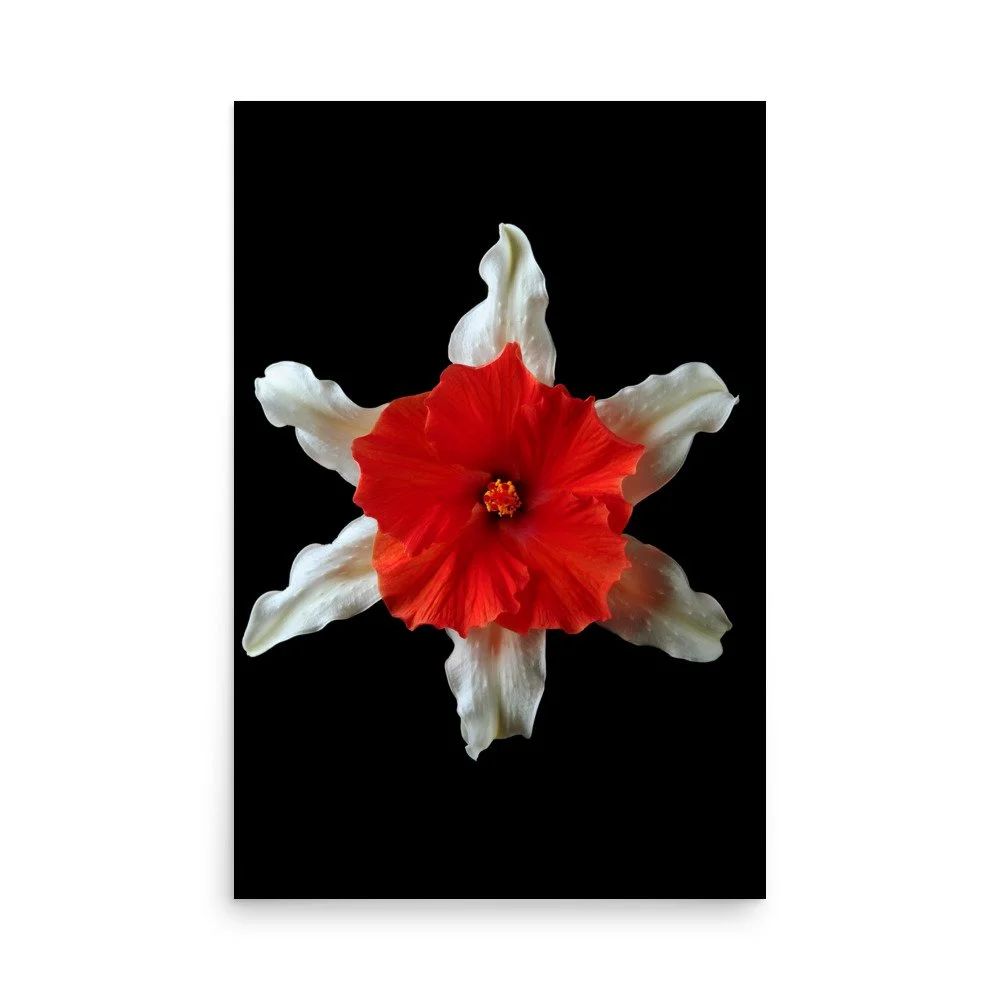 enhanced-matte-paper-poster-(in)-24x36-front-6a89aba02068b.jpg