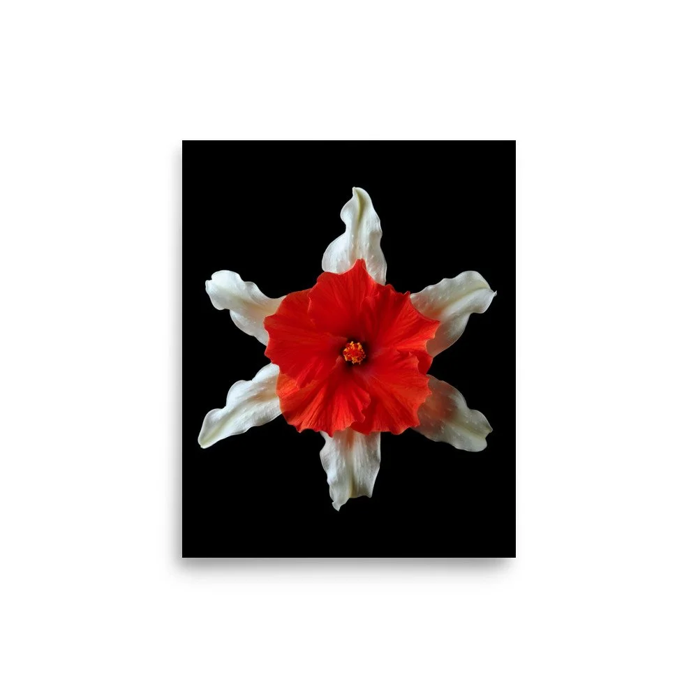 enhanced-matte-paper-poster-(in)-8x10-front-6a89aba02072e.jpg