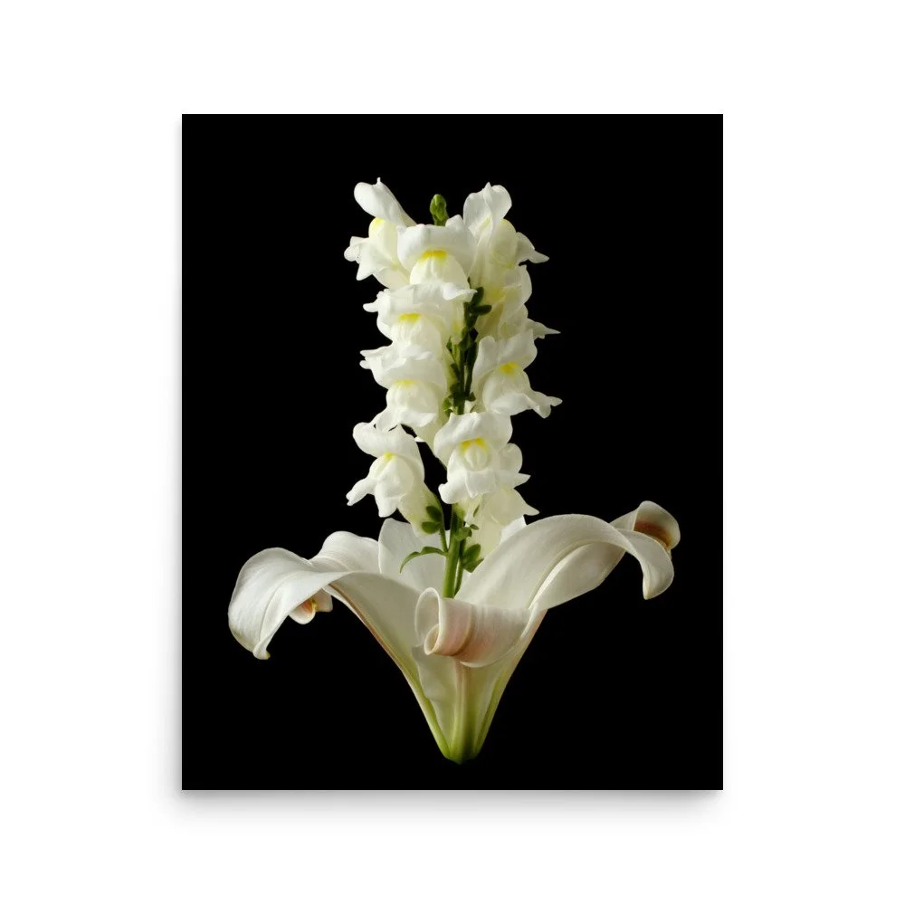 enhanced-matte-paper-poster-(in)-16x20-front-6a89b2344c90b.jpg