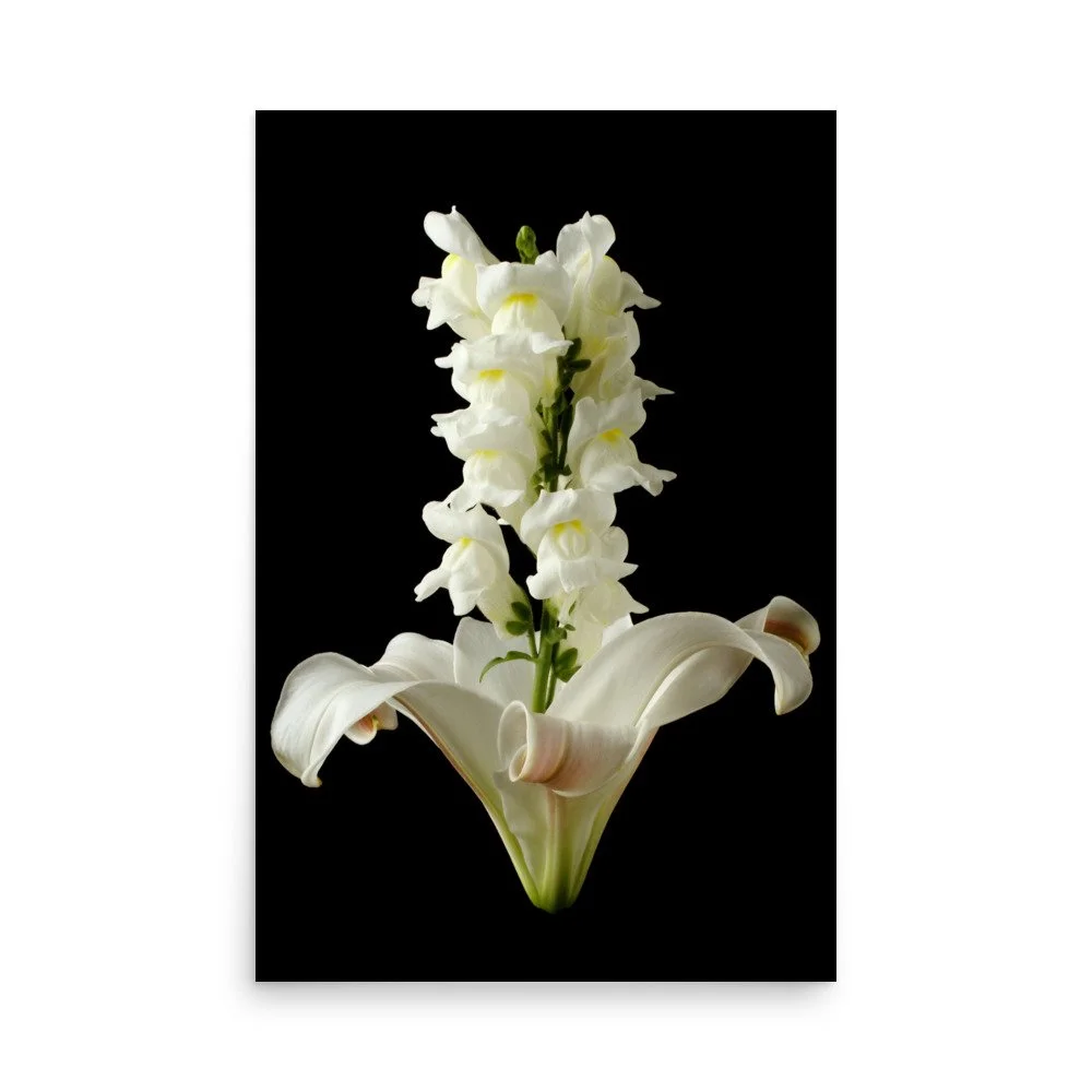 enhanced-matte-paper-poster-(in)-24x36-front-6a89b2344d4ff.jpg