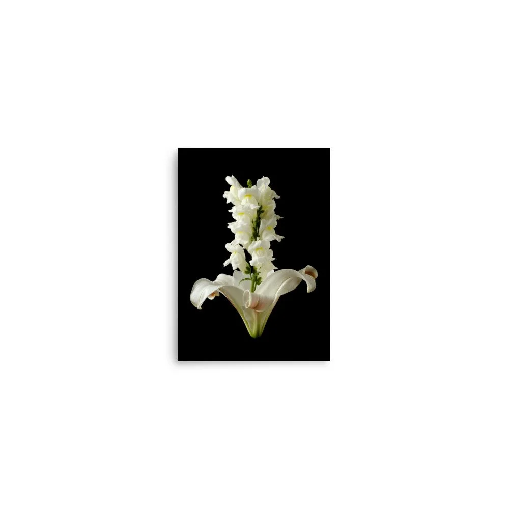 enhanced-matte-paper-poster-(in)-5x7-front-6a89b2344d567.jpg