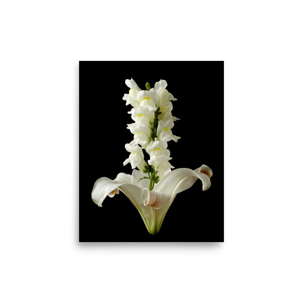 enhanced-matte-paper-poster-(in)-8x10-front-6a89b2344d5a3.jpg