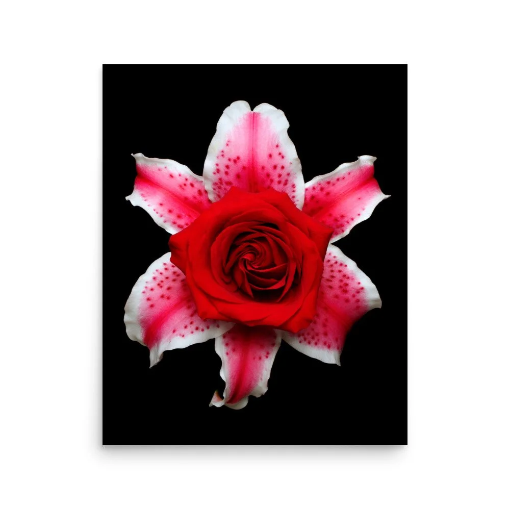 enhanced-matte-paper-poster-(in)-16x20-front-6a89d2fba975b.jpg