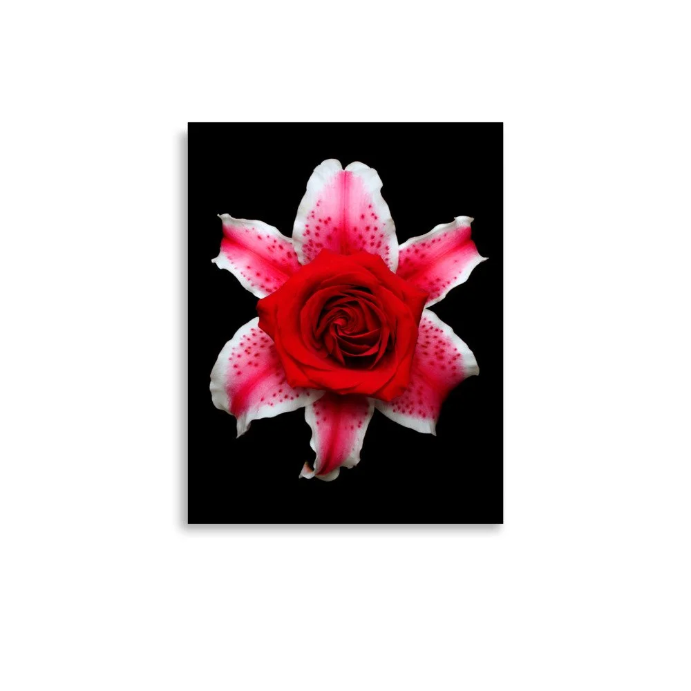 enhanced-matte-paper-poster-(in)-11x14-front-6a89d2fba9f04.jpg