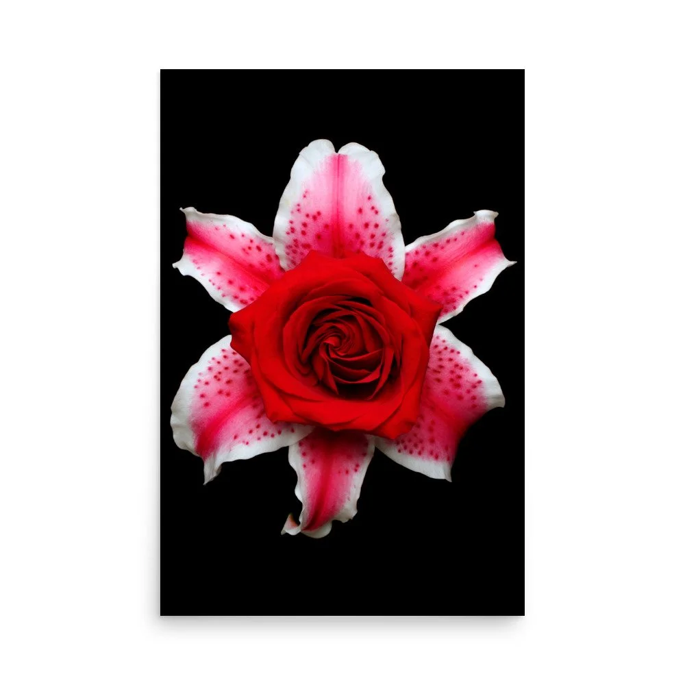 enhanced-matte-paper-poster-(in)-24x36-front-6a89d2fba9f6e.jpg