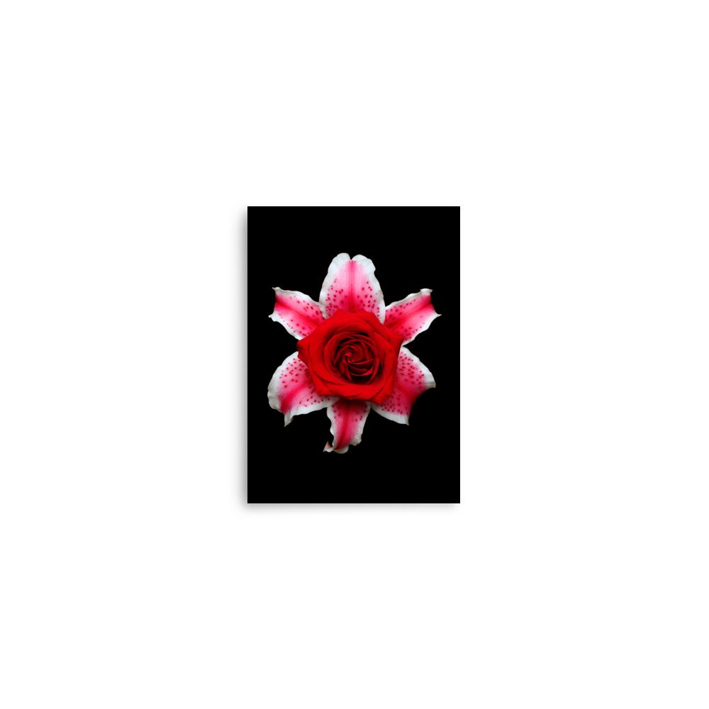 enhanced-matte-paper-poster-(in)-5x7-front-6a89d2fba9fbf.jpg