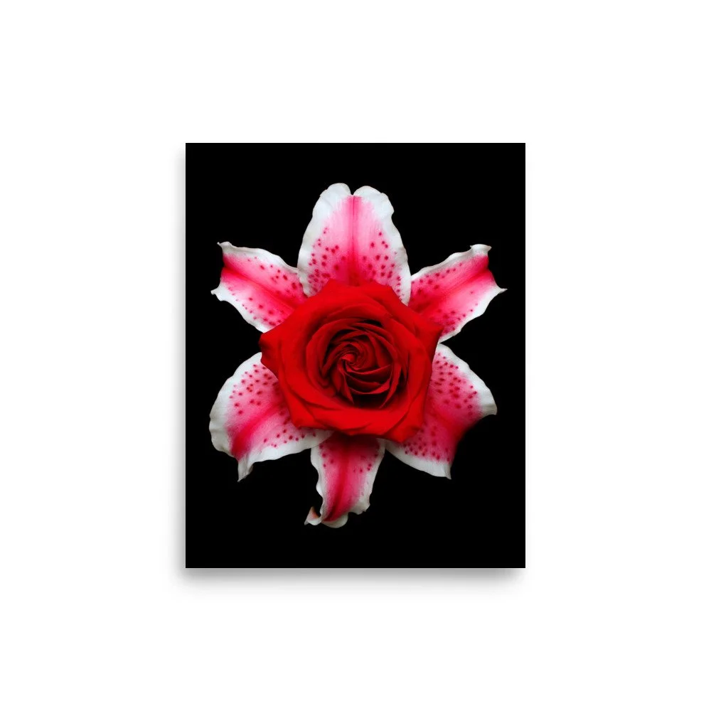 enhanced-matte-paper-poster-(in)-8x10-front-6a89d2fbaa000.jpg