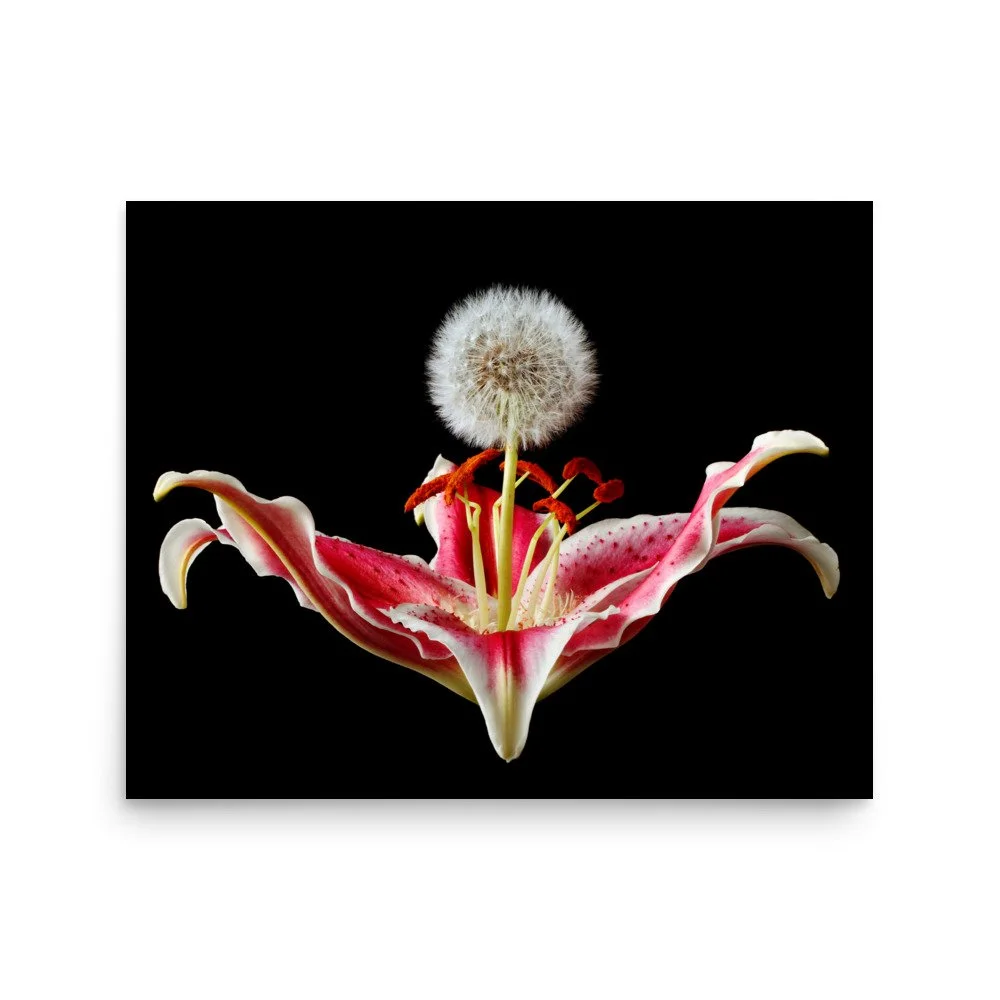 enhanced-matte-paper-poster-(in)-16x20-front-6a89d654a6f6e.jpg