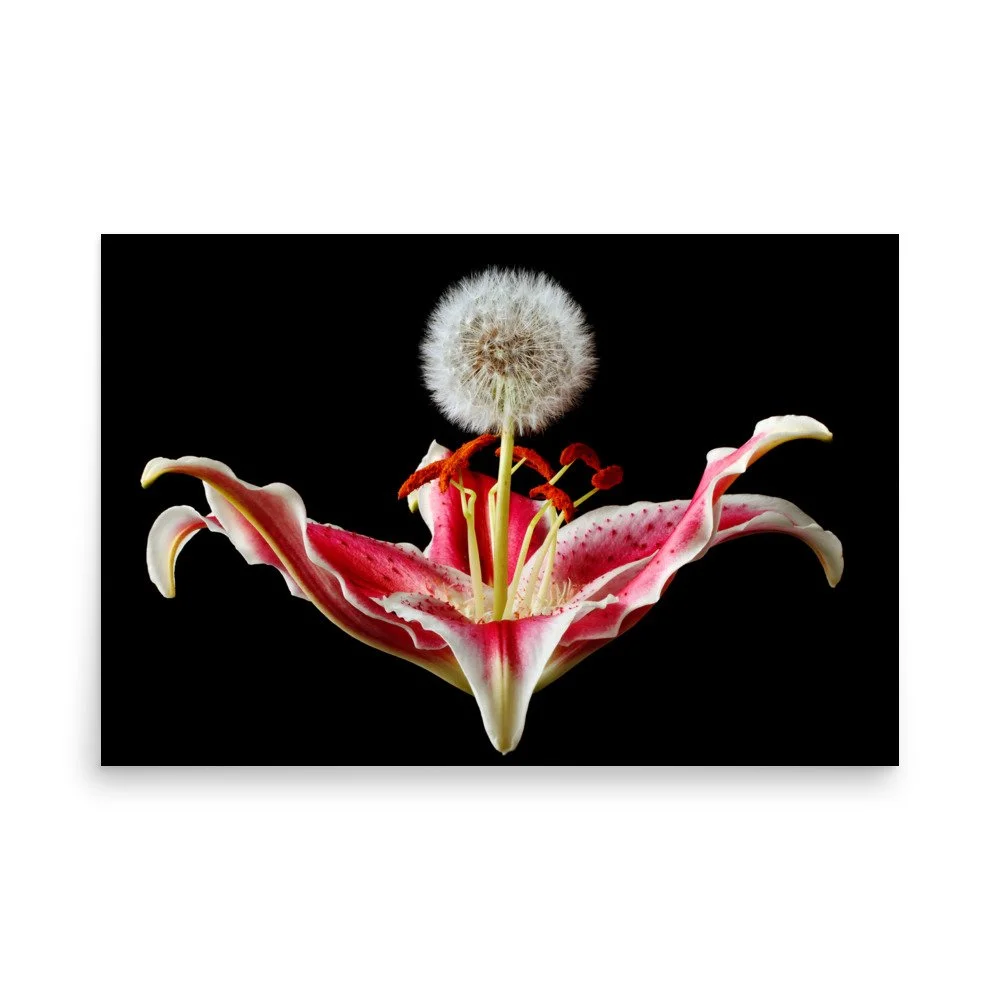 enhanced-matte-paper-poster-(in)-24x36-front-6a89d654a7e15.jpg