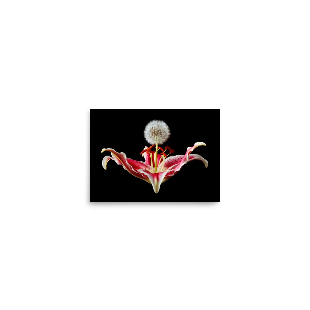 enhanced-matte-paper-poster-(in)-5x7-front-6a89d654a7e79.jpg