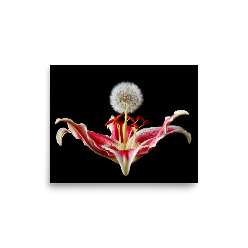 enhanced-matte-paper-poster-(in)-8x10-front-6a89d654a7eae.jpg