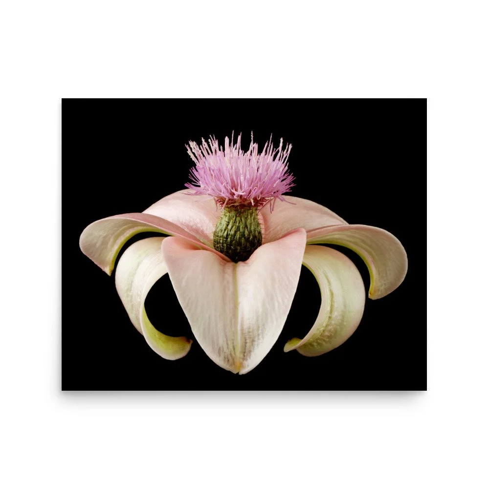 enhanced-matte-paper-poster-(in)-16x20-front-6a8a1441a7db8.jpg