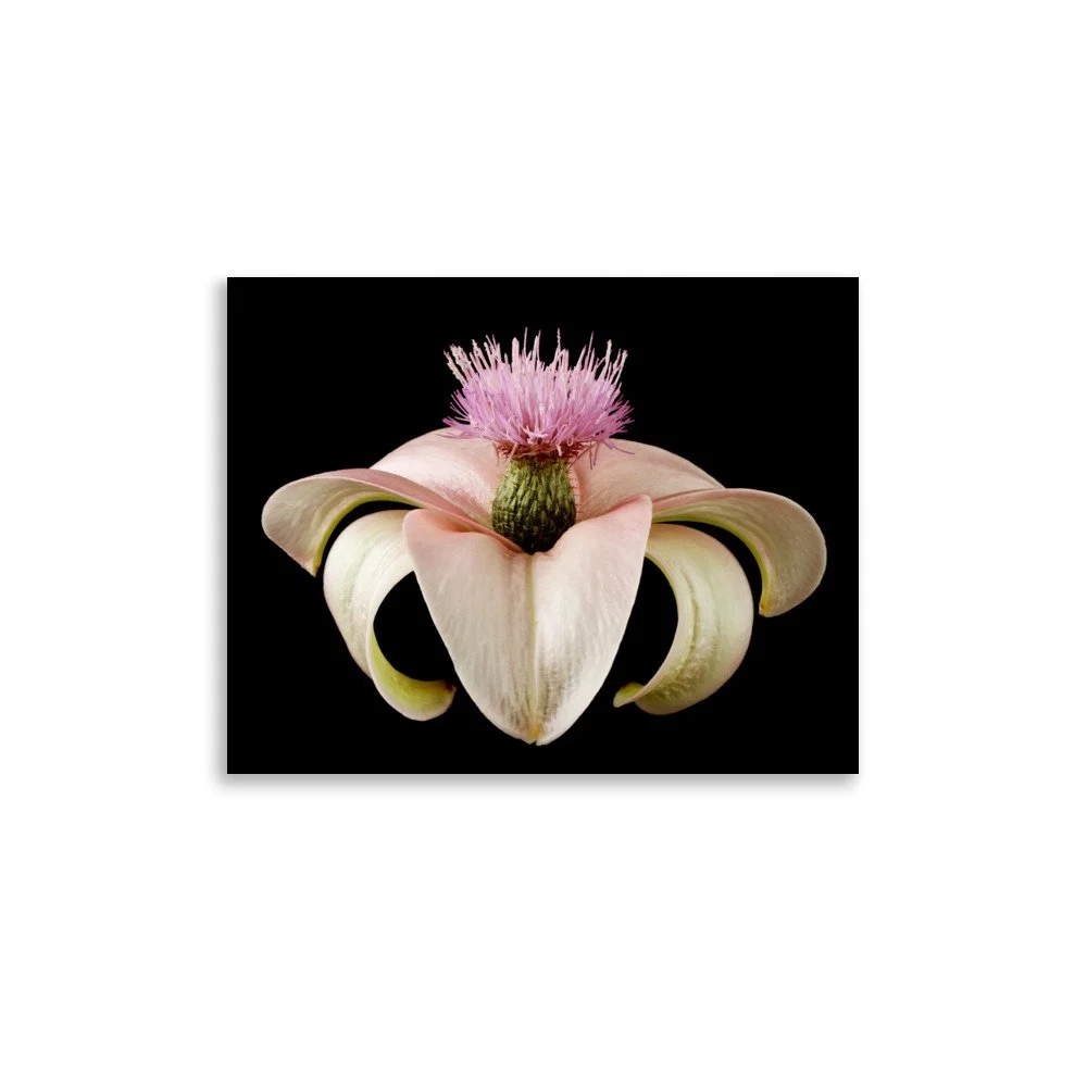 enhanced-matte-paper-poster-(in)-11x14-front-6a8a1441a8696.jpg