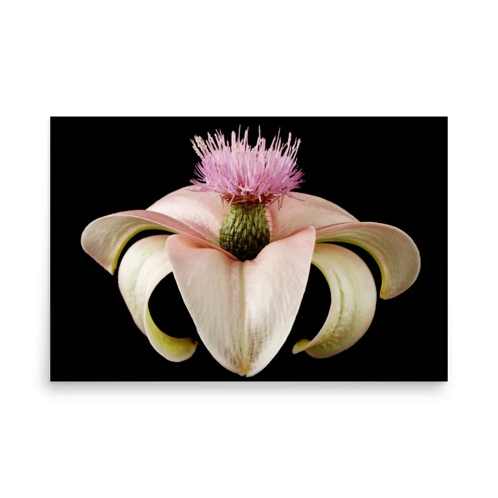 enhanced-matte-paper-poster-(in)-24x36-front-6a8a1441a8732.jpg