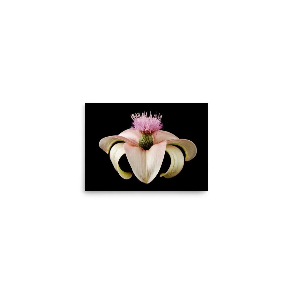 enhanced-matte-paper-poster-(in)-5x7-front-6a8a1441a879b.jpg