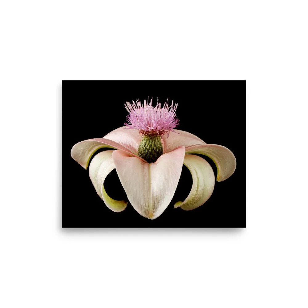 enhanced-matte-paper-poster-(in)-8x10-front-6a8a1441a87da.jpg