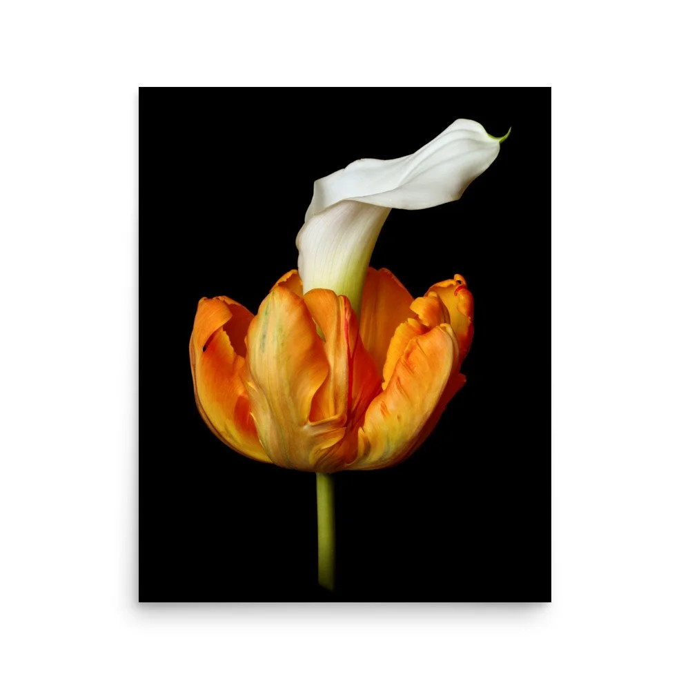 enhanced-matte-paper-poster-(in)-16x20-front-6a8ad41225fdd.jpg