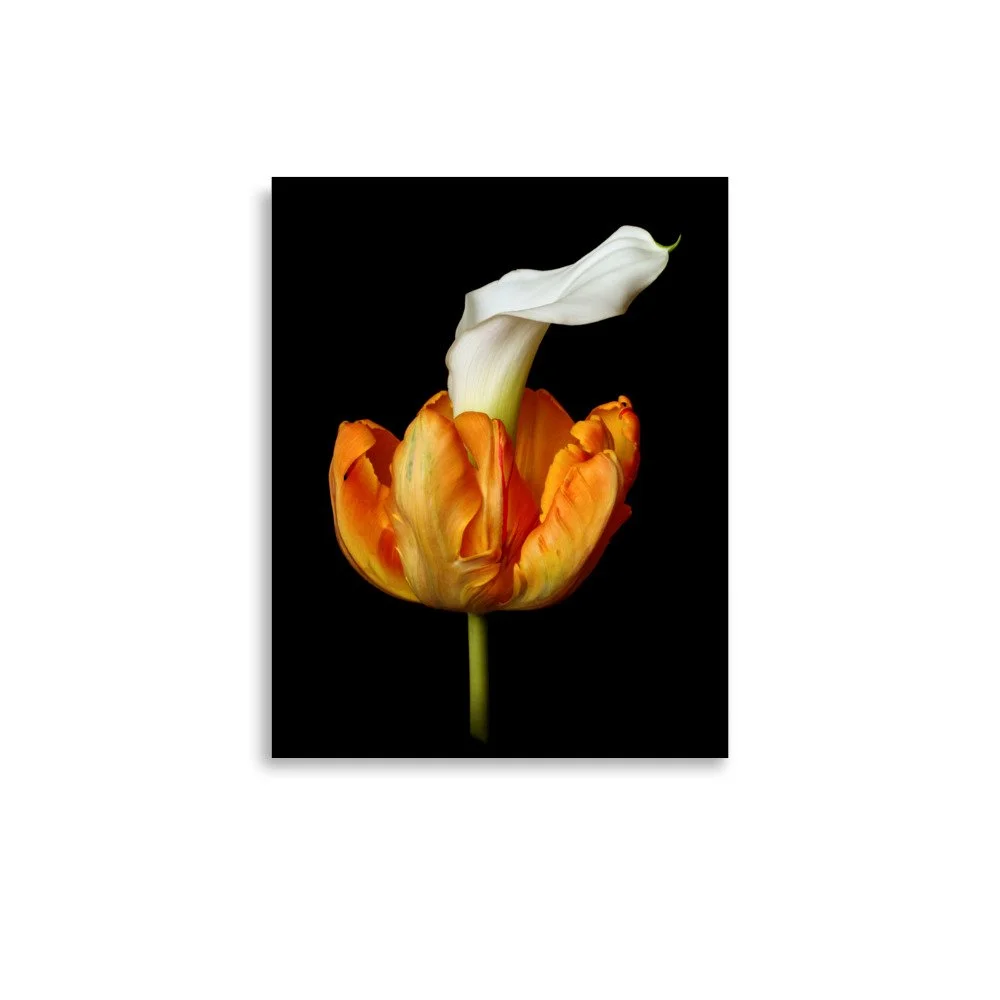 enhanced-matte-paper-poster-(in)-11x14-front-6a8ad41226824.jpg