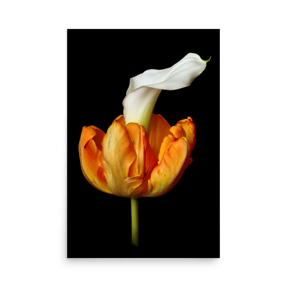 enhanced-matte-paper-poster-(in)-24x36-front-6a8ad412268a9.jpg