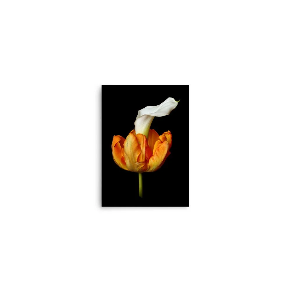 enhanced-matte-paper-poster-(in)-5x7-front-6a8ad41226925.jpg