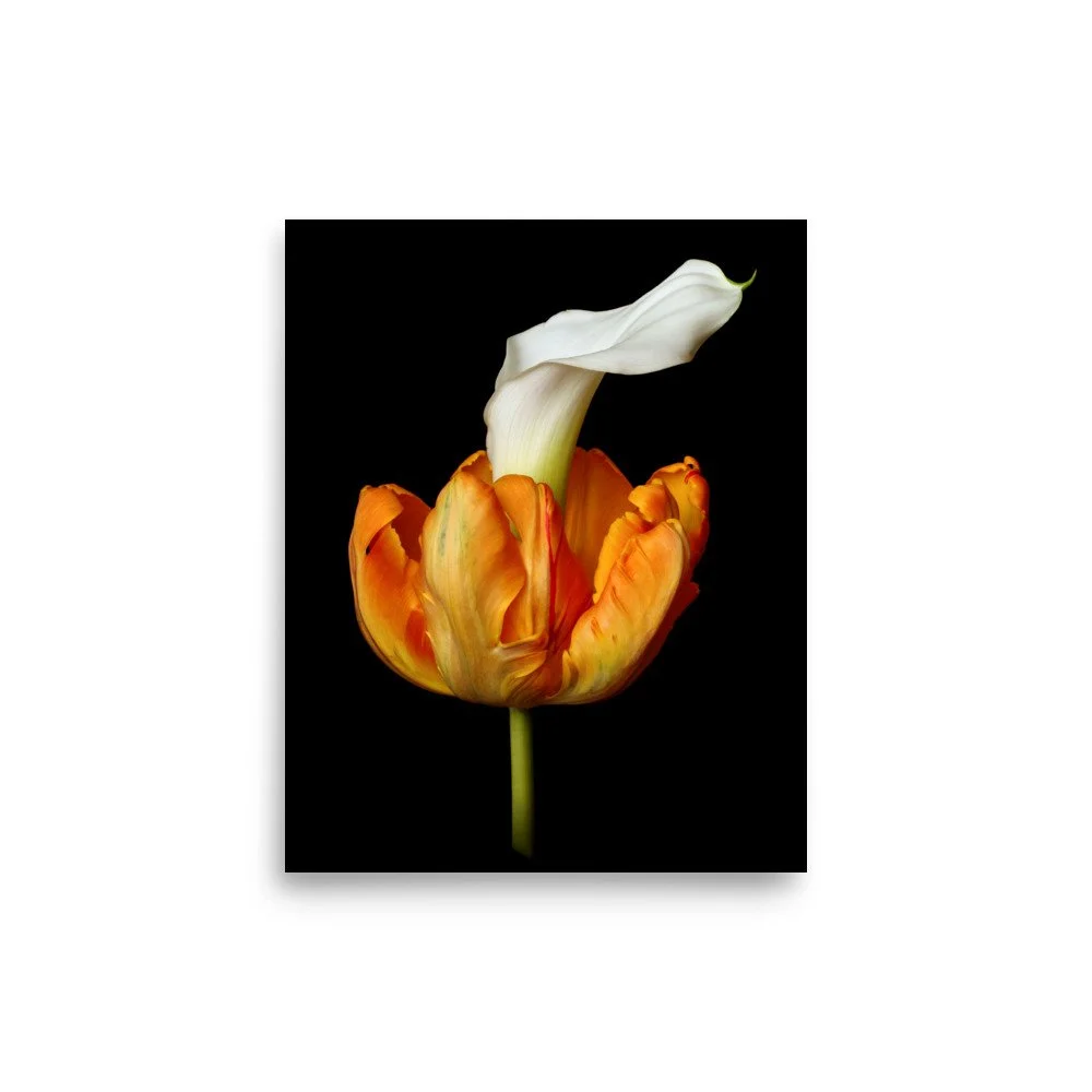 enhanced-matte-paper-poster-(in)-8x10-front-6a8ad4122695d.jpg