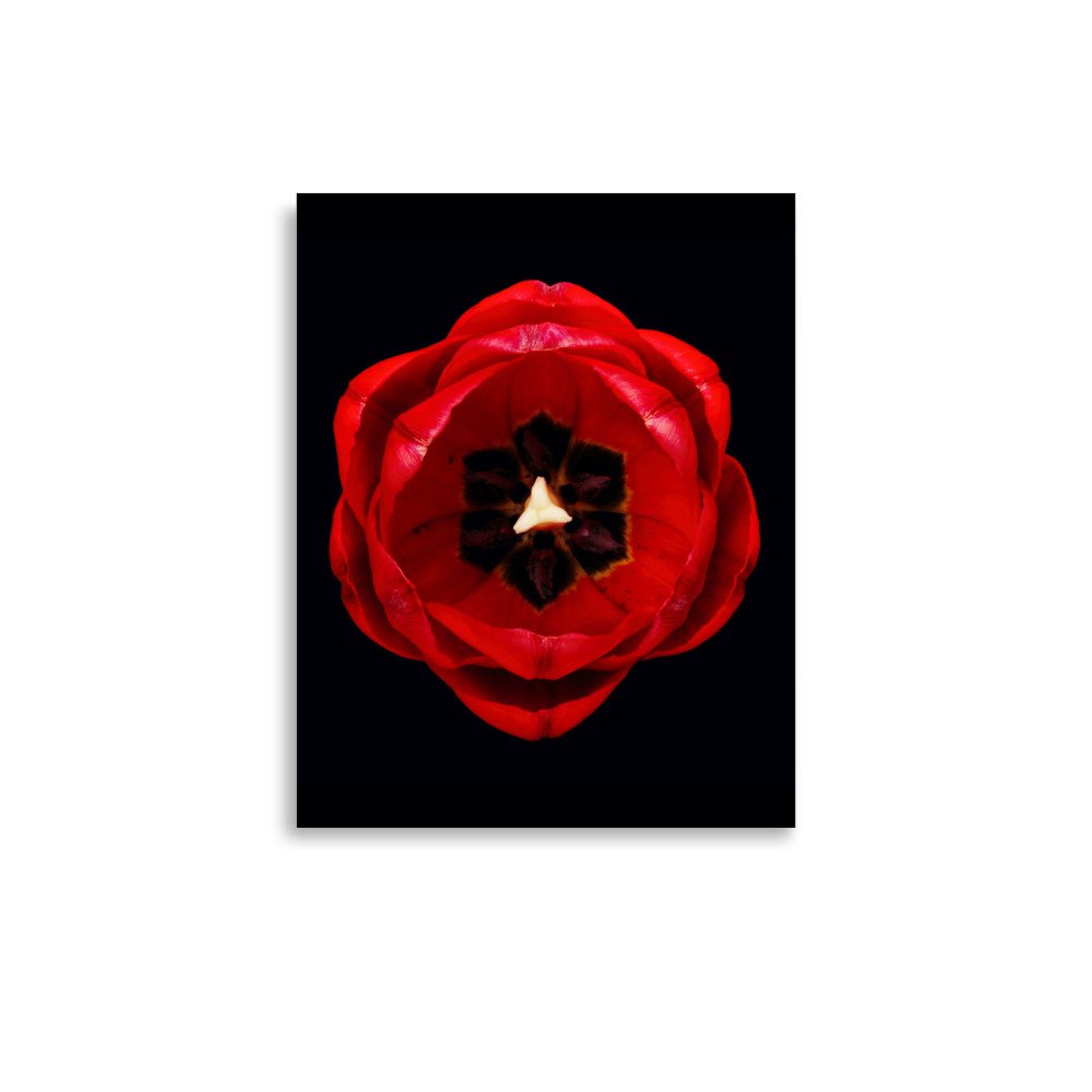 enhanced-matte-paper-poster-(in)-11x14-front-6a8adf4f0bb5e.jpg