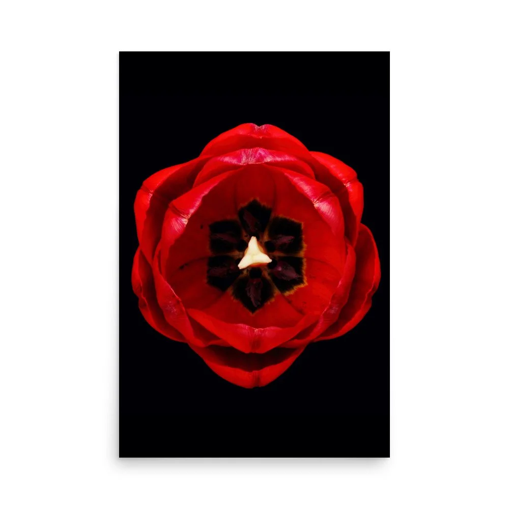 enhanced-matte-paper-poster-(in)-24x36-front-6a8adf4f0bbf4.jpg