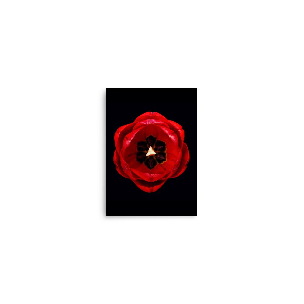 enhanced-matte-paper-poster-(in)-5x7-front-6a8adf4f0bc67.jpg