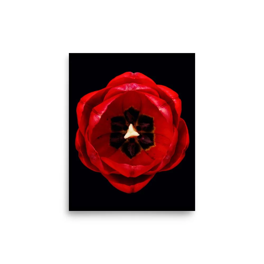 enhanced-matte-paper-poster-(in)-8x10-front-6a8adf4f0bca4.jpg