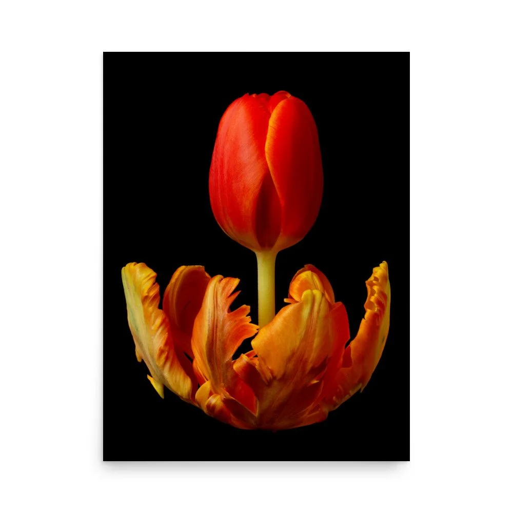 enhanced-matte-paper-poster-(in)-18x24-front-6a8ae3558ac53.jpg