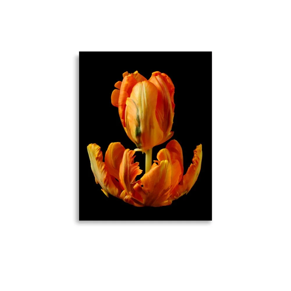 enhanced-matte-paper-poster-(in)-11x14-front-6a8aeb284b091.jpg