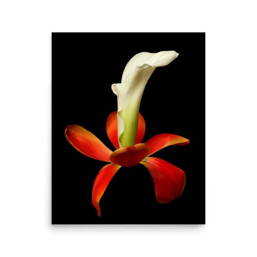 enhanced-matte-paper-poster-(in)-16x20-front-6a8b0e3374a51.jpg