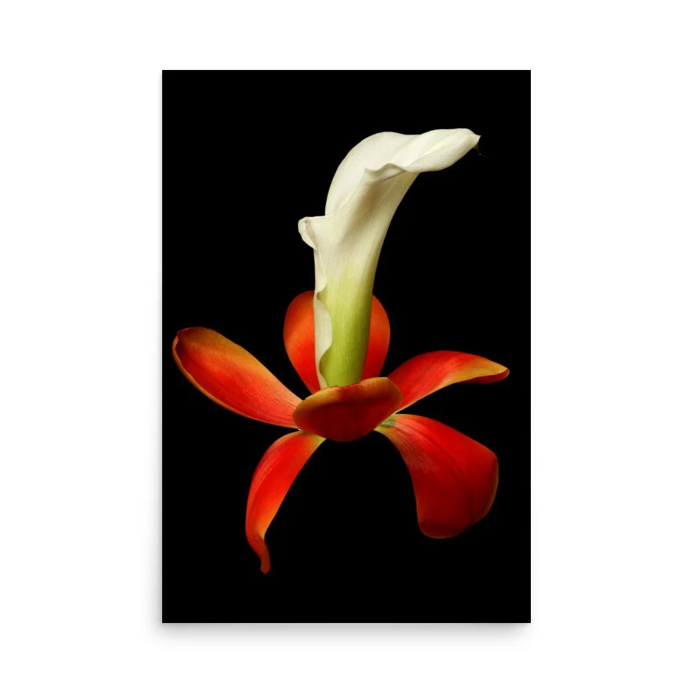 enhanced-matte-paper-poster-(in)-24x36-front-6a8b0e3375d18.jpg