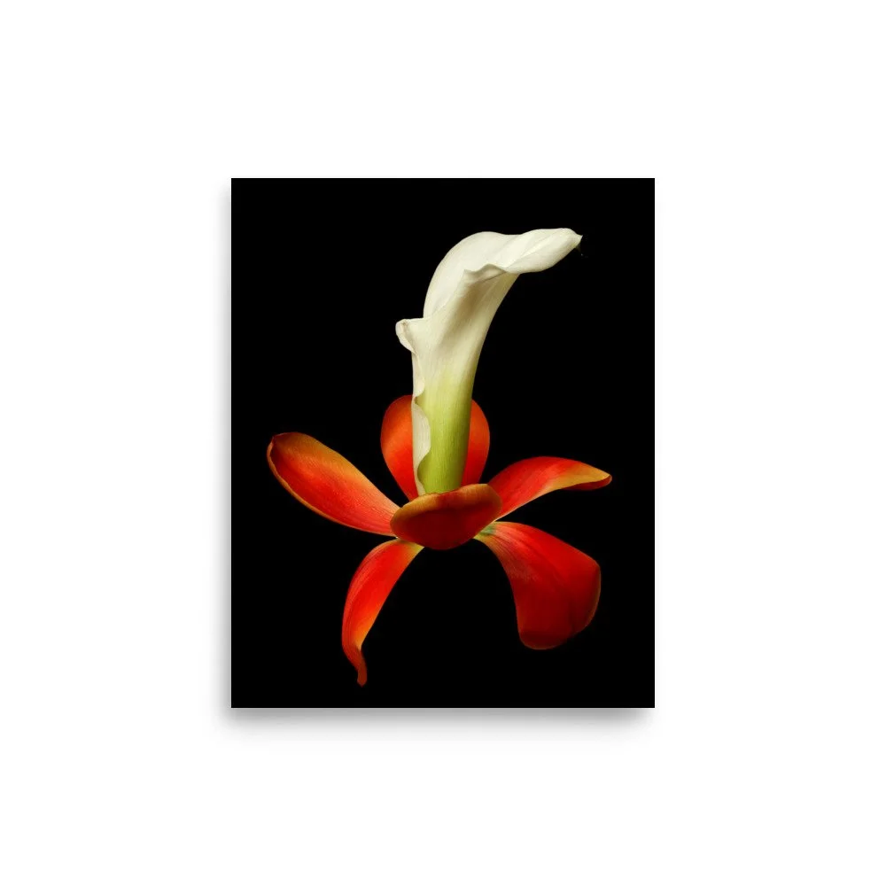 enhanced-matte-paper-poster-(in)-8x10-front-6a8b0e3375da8.jpg
