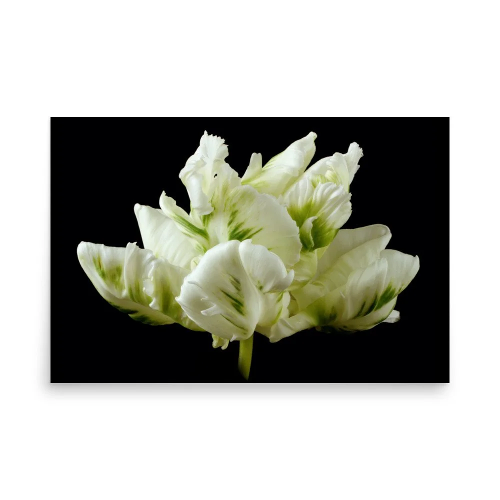 enhanced-matte-paper-poster-(in)-24x36-front-6a8dfbb1d27b2.jpg