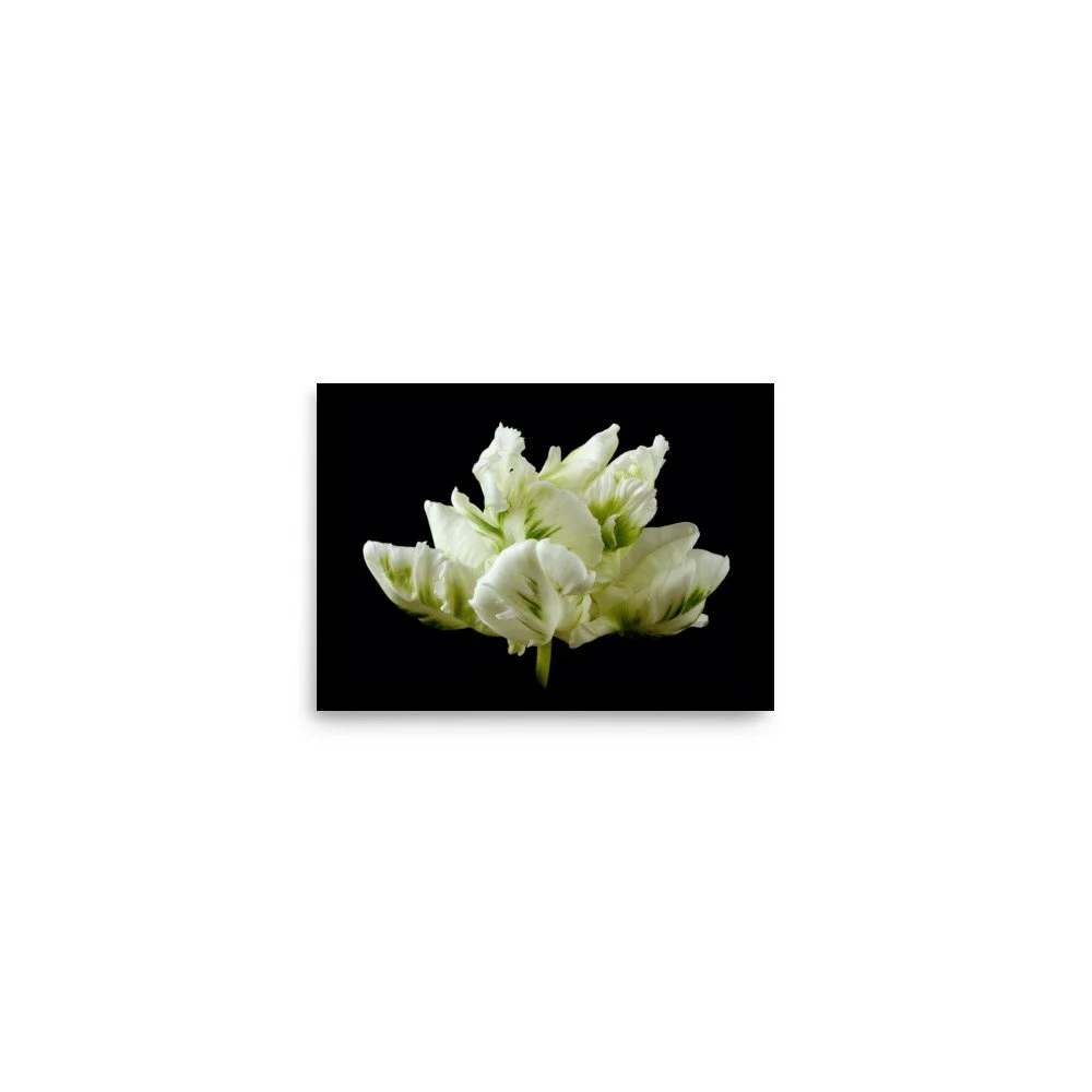enhanced-matte-paper-poster-(in)-5x7-front-6a8dfbb1d2818.jpg